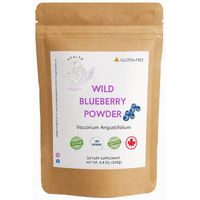 Health Revel 100% Wild Blueberry Powder